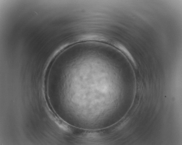 X0000083041043200702091404