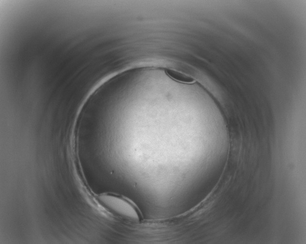 X0000083041044200702091404