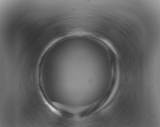 X0000083041046200702091404