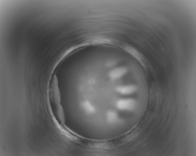 X0000083041047200702091404