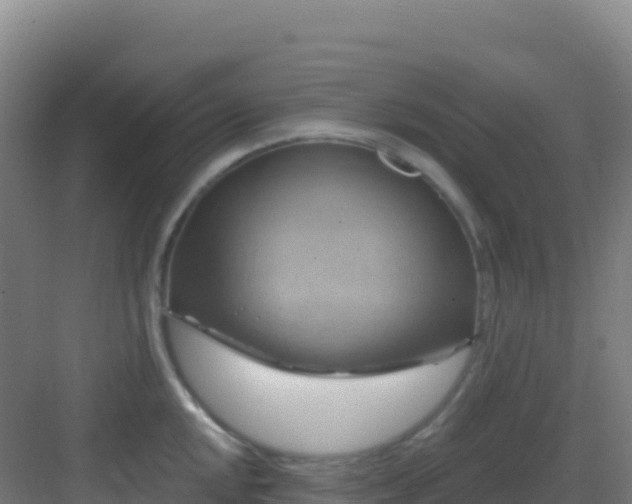 X0000083041048200702091404