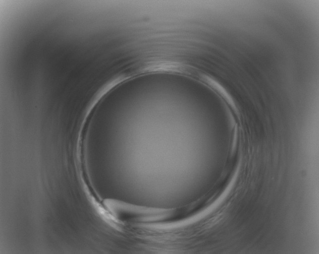 X0000083041050200702091404