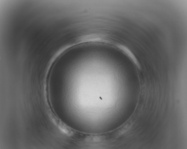 X0000083041051200702091404