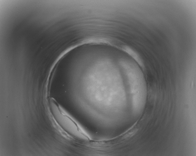 X0000083041052200702091404