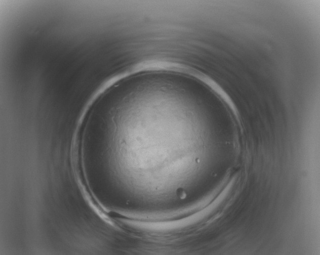 X0000083041053200702091404