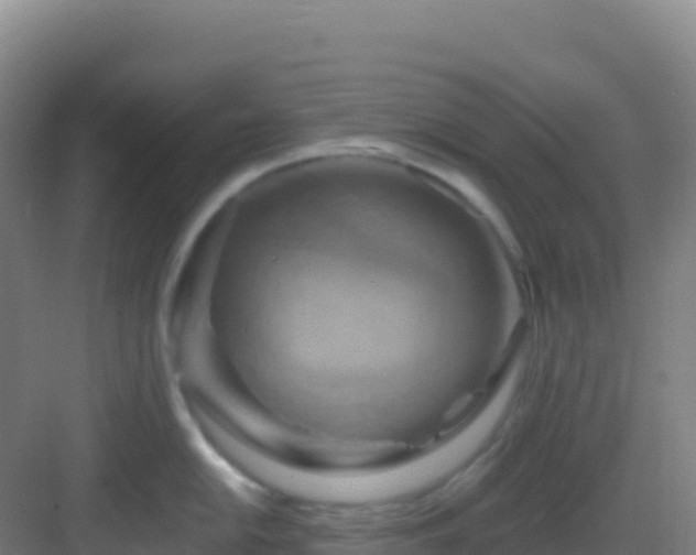 X0000083041054200702091404