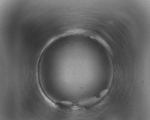 X0000083041055200702091404