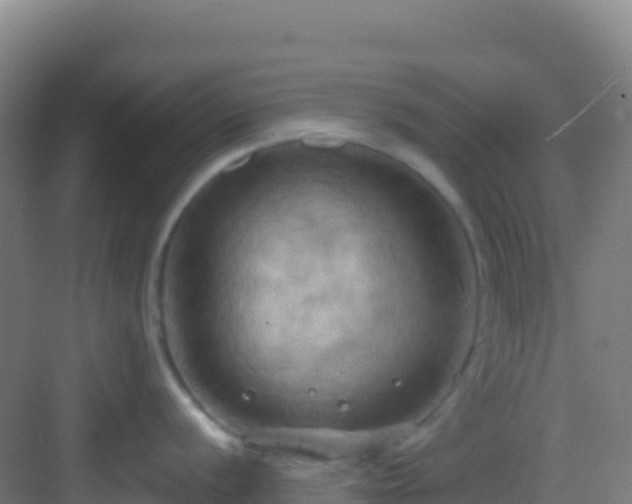 X0000083041056200702091404