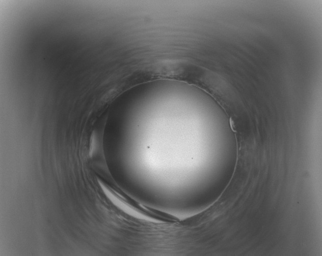 X0000083041058200702091403