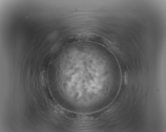 X0000083041059200702091403