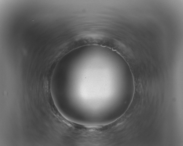 X0000083041061200702091403