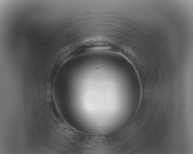 X0000083041062200702091403