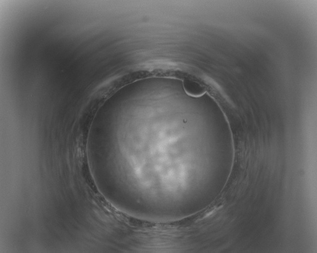 X0000083041063200702091403