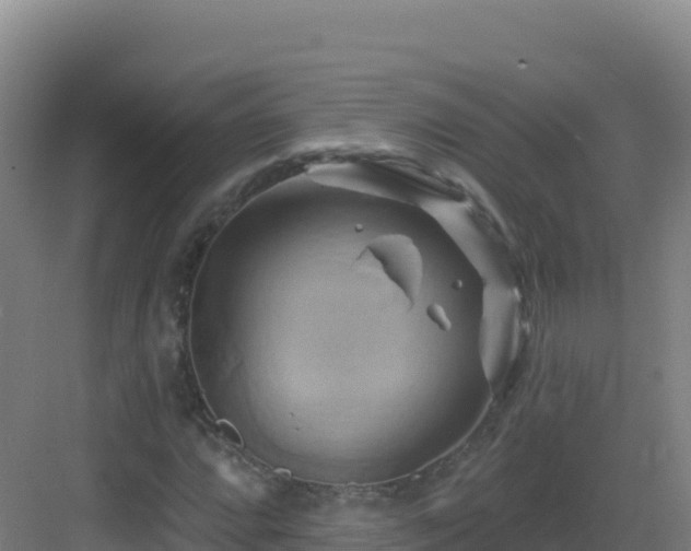 X0000083041064200702091403