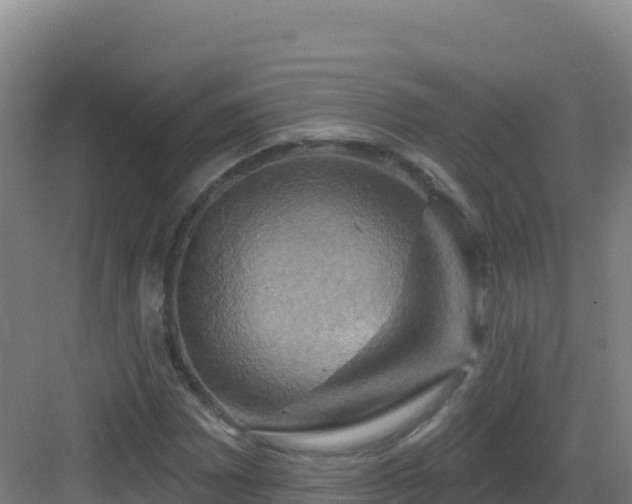 X0000083041065200702091403