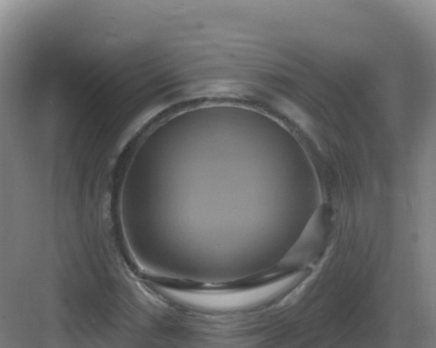 X0000083041066200702091403