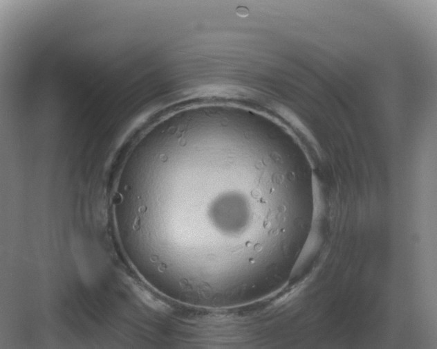 X0000083041067200702091403