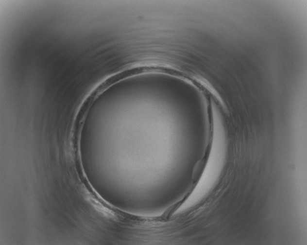 X0000083041068200702091403