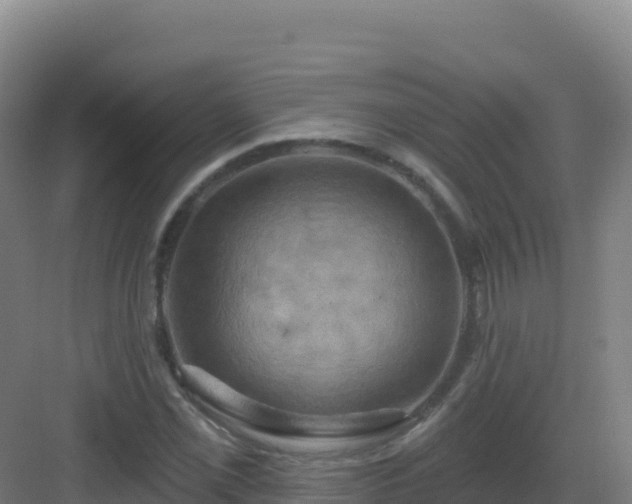 X0000083041069200702091403