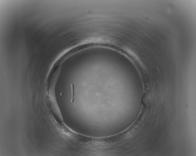 X0000083041070200702091403