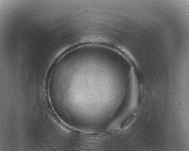 X0000083041071200702091403