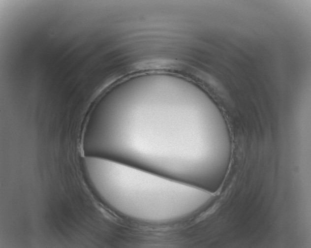 X0000083041073200702091403