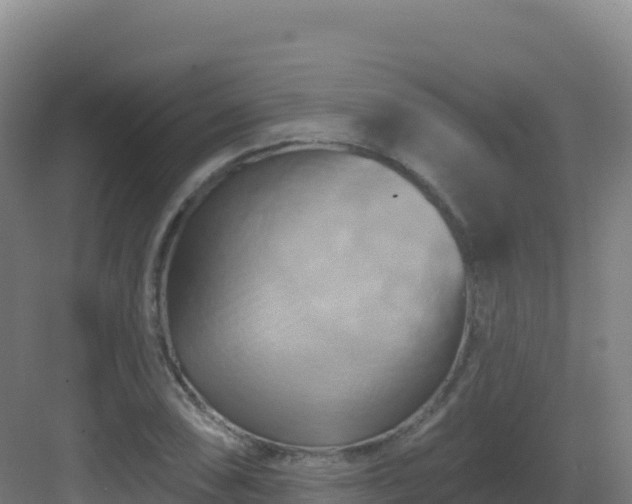 X0000083041074200702091403