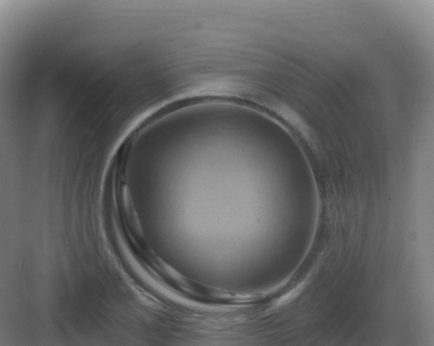 X0000083041077200702091403