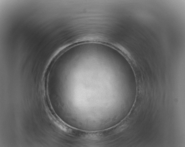 X0000083041078200702091403