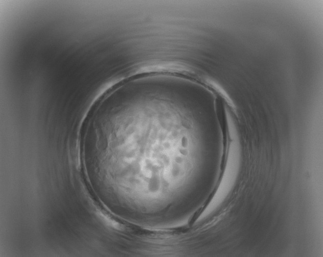 X0000083041079200702091403