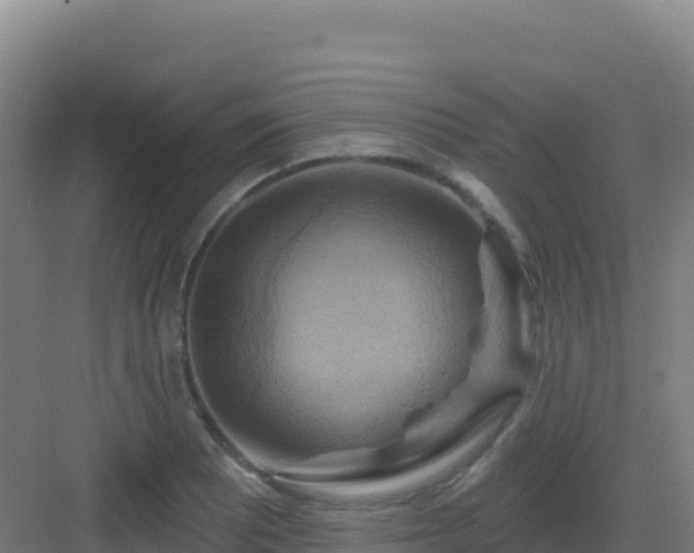 X0000083041081200702091403