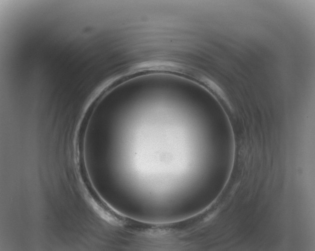 X0000083041082200702091403