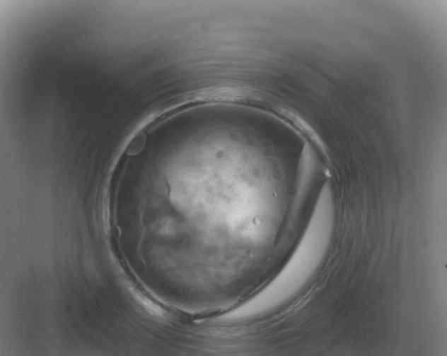 X0000083041083200702091403