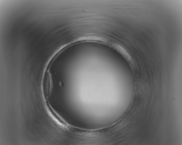 X0000083041084200702091403