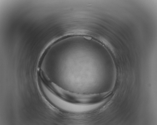 X0000083041085200702091403