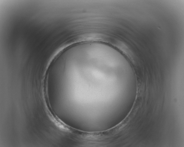 X0000083041086200702091403