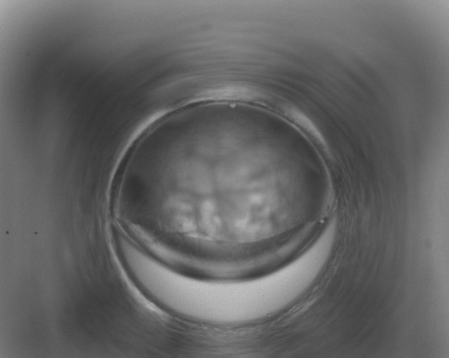 X0000083041087200702091403