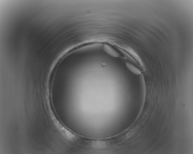 X0000083041088200702091403