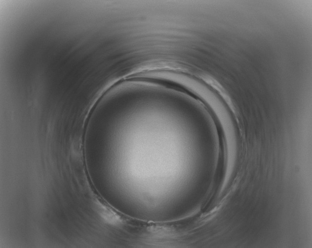 X0000083041089200702091403