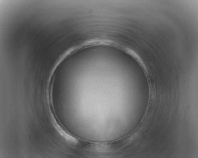 X0000083041090200702091403