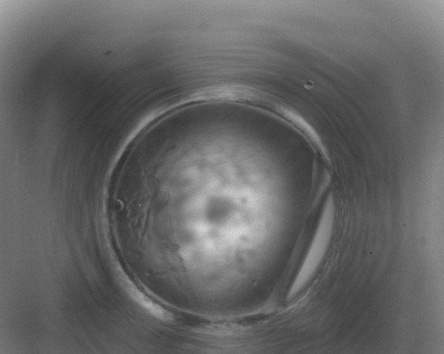 X0000083041091200702091403