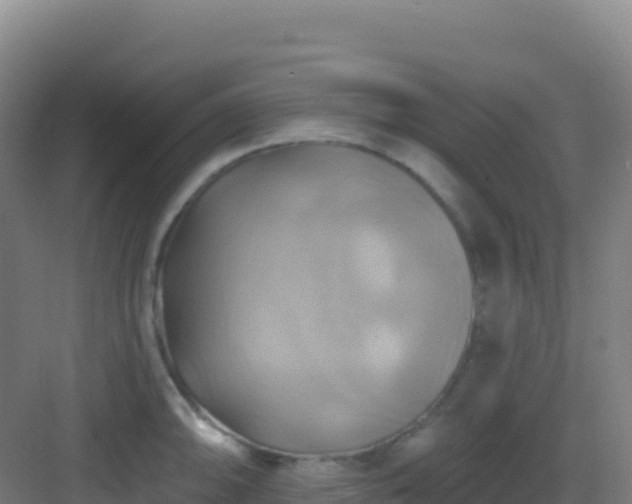 X0000083041094200702091402