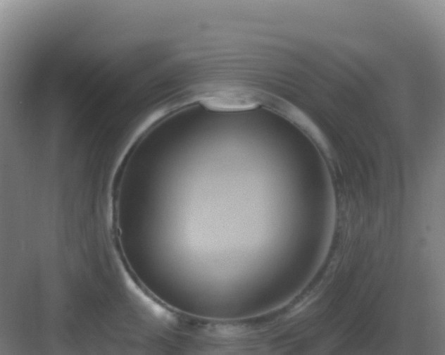 X0000083041095200702091402