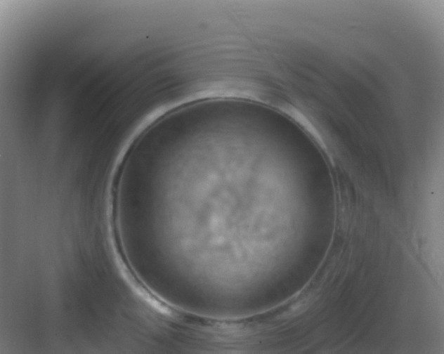 X0000083041096200702091402