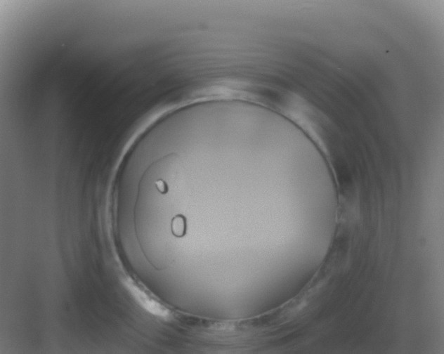 X0000083041098200702091402