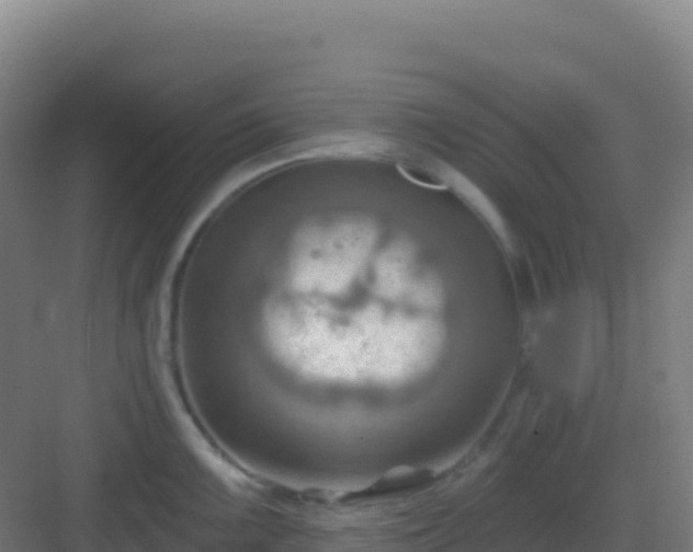 X0000083041099200702091402