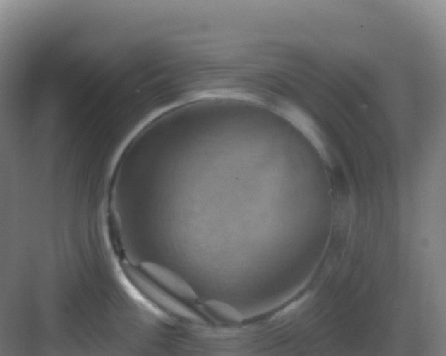 X0000083041100200702091402