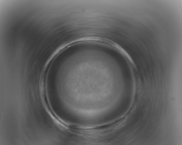 X0000083041101200702091402