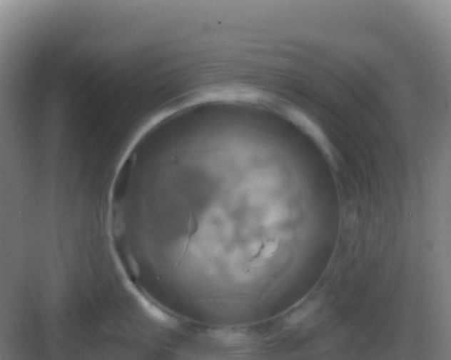 X0000083041103200702091402