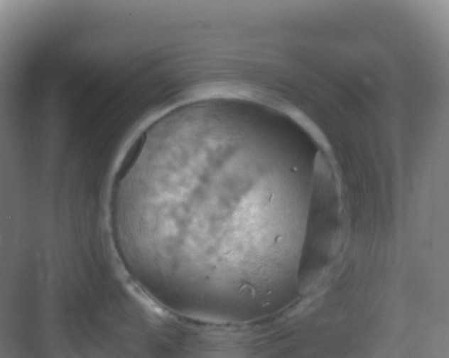 X0000083041104200702091402